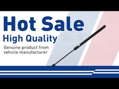 Motorhaube Strut-30649736