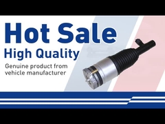 Luftschlagdämpfer-31658904