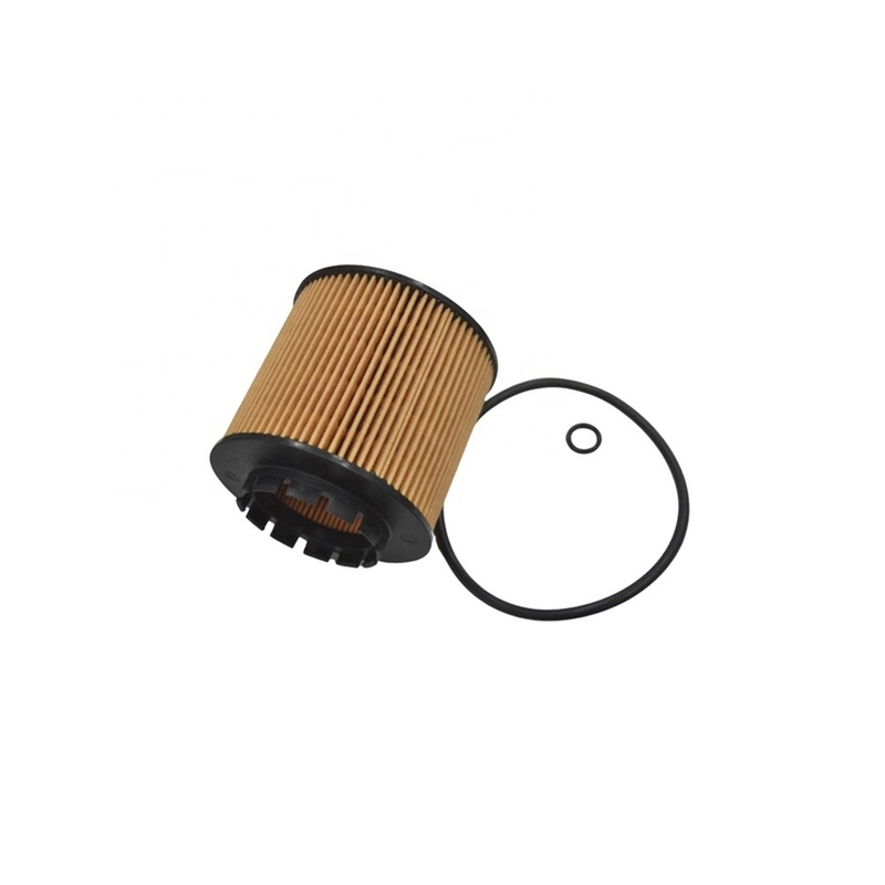 SGS Autoteile 32257123 Benzinölfilter für S80 S60 2001-2007