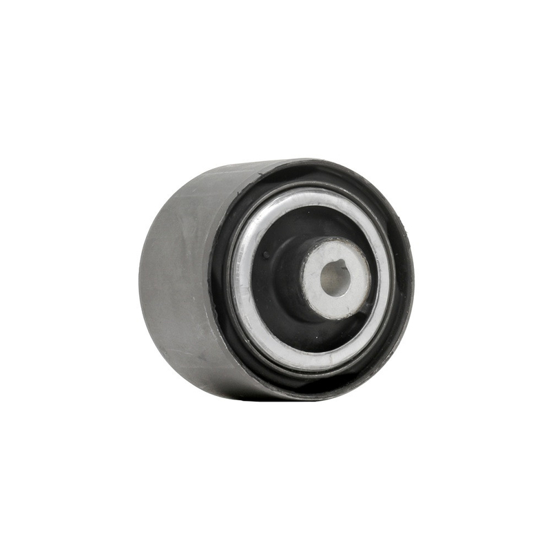 Frontunterste Steuerung ARM Busch LR100072 für Land Rover Discovery RR Sport