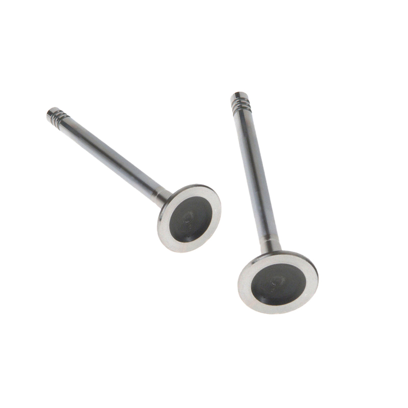 Womala Motor Auslassventil 32249029 Auslassventil für Auto Parts XC90 Motor Autoteile