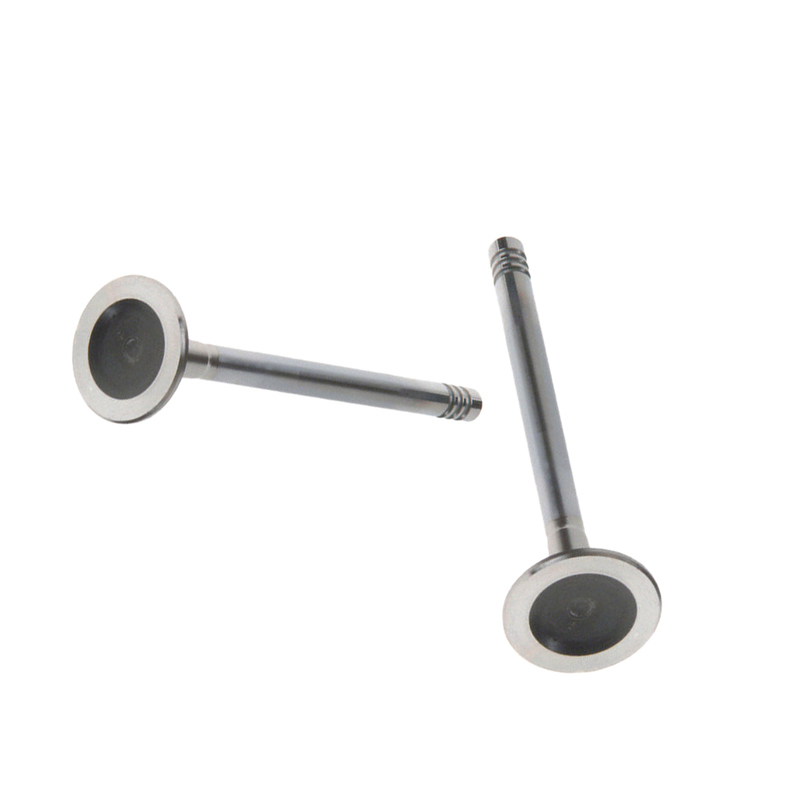 Womala Motor Auslassventil 32249029 Auslassventil für Auto Parts XC90 Motor Autoteile