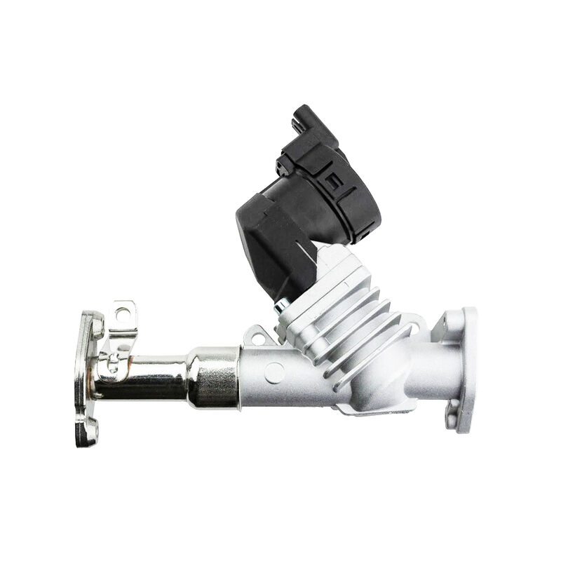 Womala Auto Parts EGR Ventil 11717563241 11718479590 für die Bmw 1/3/5 Serie